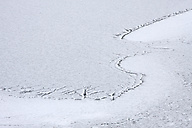Schuylkill River in Snow
