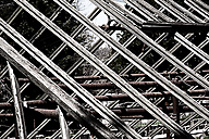Abandoned Greenhouse