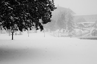 Snow, Fairmount Park
