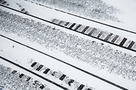 Snow, Fairmount Park