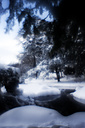 Snow, Fairmount Park