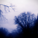 Laurel Hill