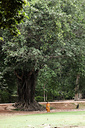 Siem Reap, Cambodia