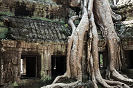 Siem Reap, Cambodia