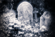 Abney Park, London