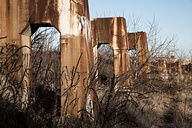 Post-Apocalyptic Nature Hike