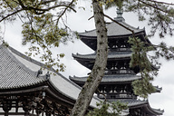 Nara, Japan