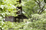 Nara, Japan