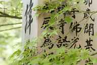 Kyoto, Japan