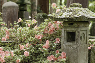 Nikko, Japan