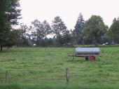cart, Fussen