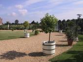 Hampton Court
